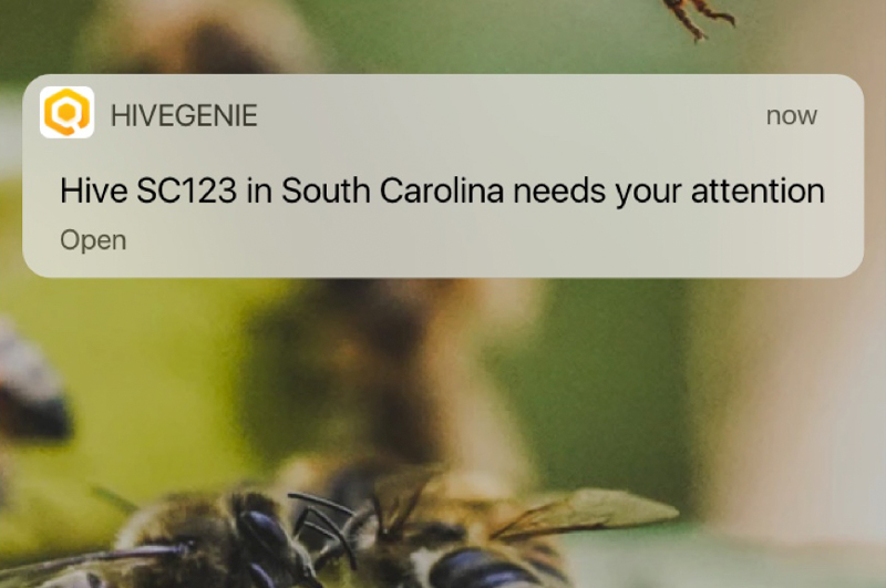 Real-time hive alerts