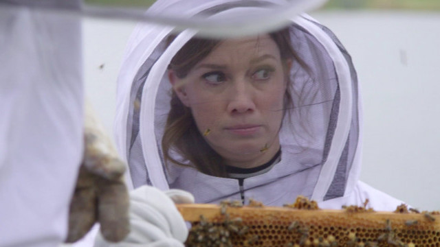 Make Me A Millionaire Inventor: ‘Making Green’ Gallery