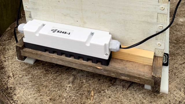 Hive monitors: Do we really need them?